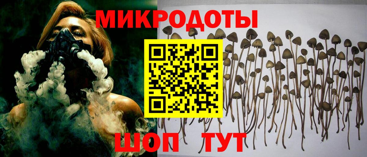 Псилоцибиновые грибы ЛСД  Псилоцибиновые грибы Psilocybine cubensis  Протвино  Вход с VPN 